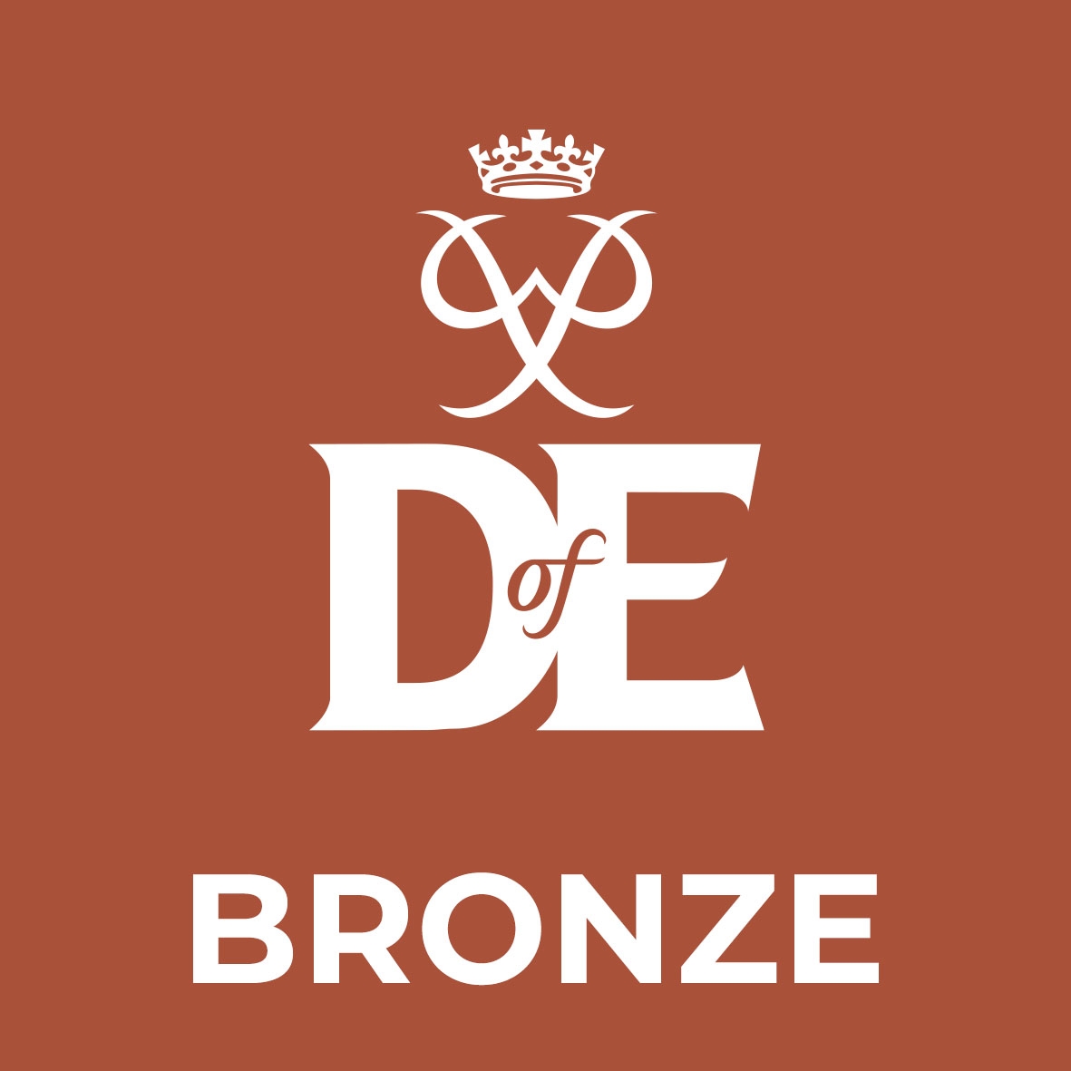 square_level_logo_-_BRONZE